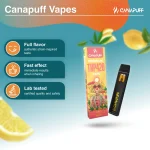 Canapuff THC Vape In Pakistan