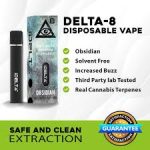 iDELT∆ Premium Obsidian Disposable Vape Pen In Pakistan