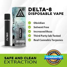 images-38-1.jpg iDELT∆ Premium Obsidian Disposable Vape Pen In Pakistan - Image 1