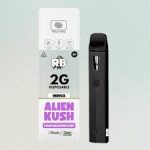 Alien Kush 2g Disposables Vape In Pakistan